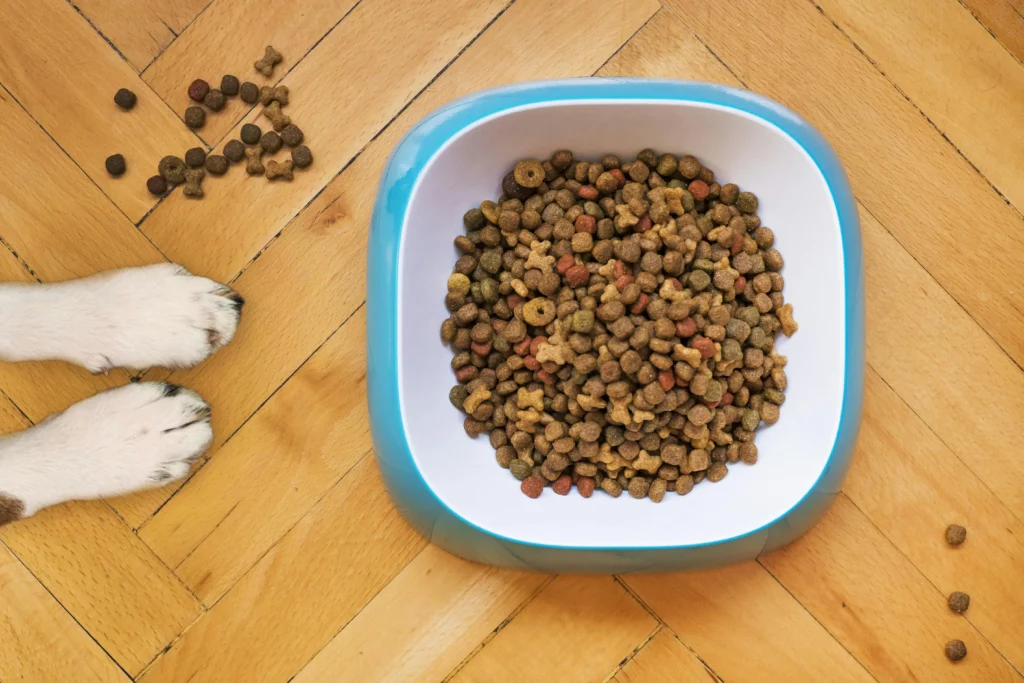 what is the best pet food?